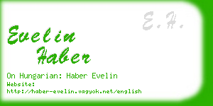 evelin haber business card